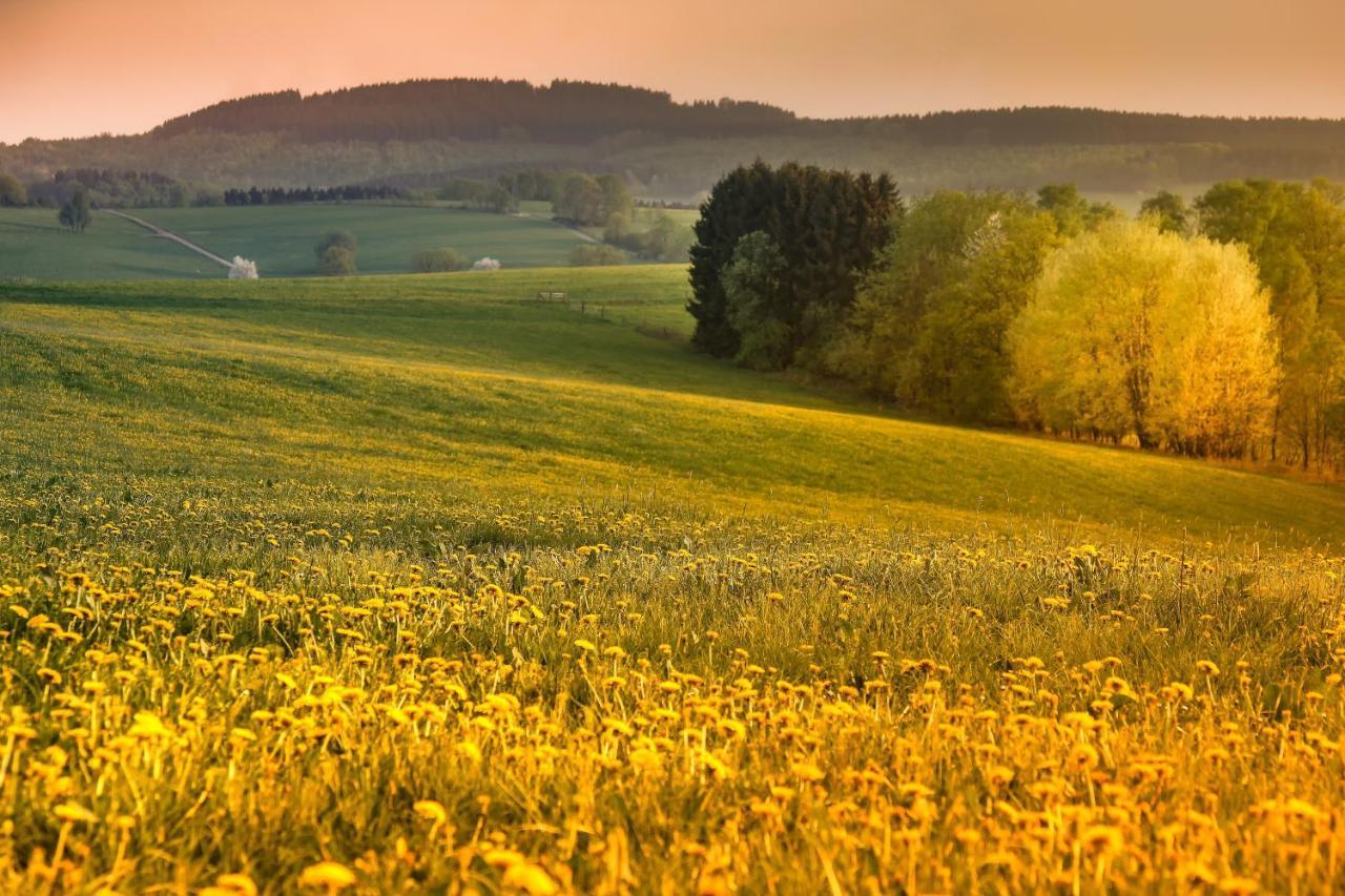 Ferienwohnung Suedhang Вінтерберг Екстер'єр фото