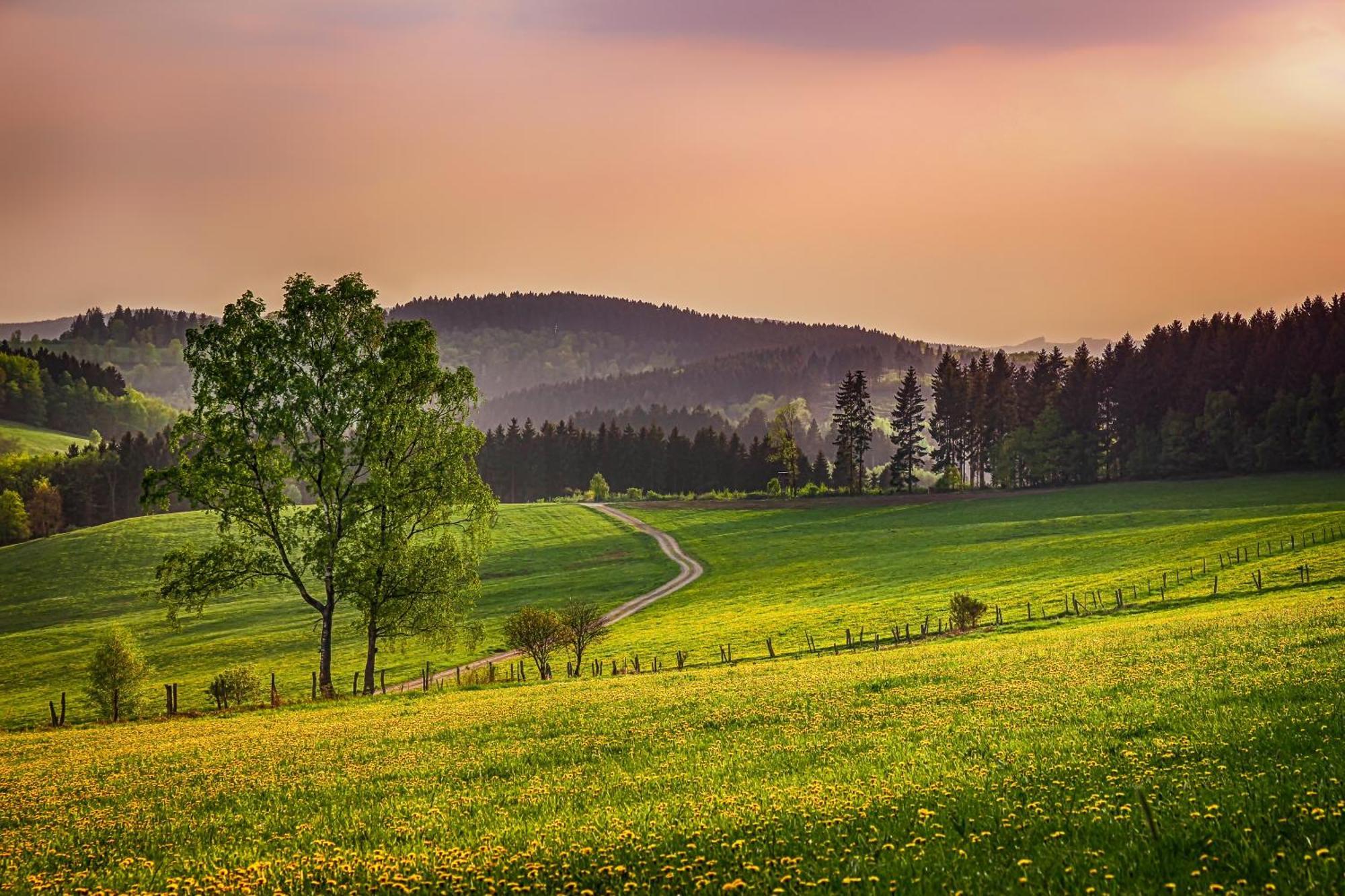 Ferienwohnung Suedhang Вінтерберг Екстер'єр фото